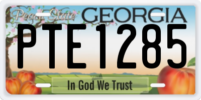 GA license plate PTE1285
