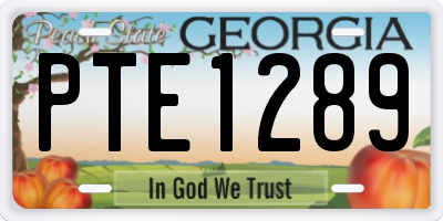 GA license plate PTE1289