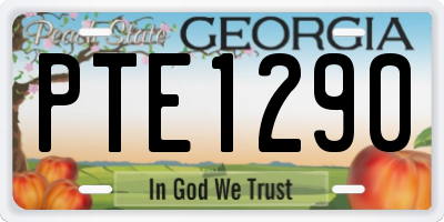 GA license plate PTE1290