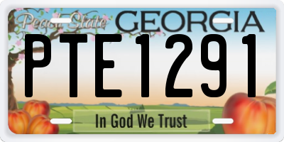 GA license plate PTE1291