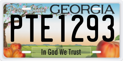 GA license plate PTE1293