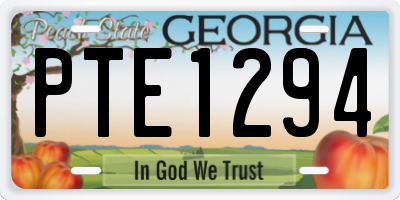 GA license plate PTE1294