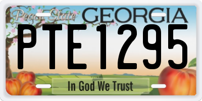 GA license plate PTE1295