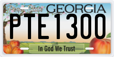 GA license plate PTE1300