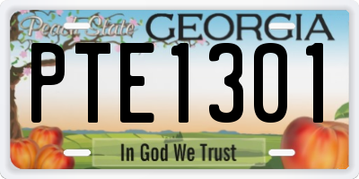 GA license plate PTE1301