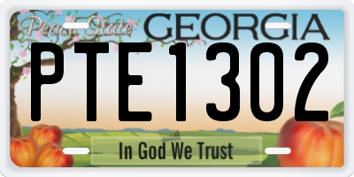 GA license plate PTE1302