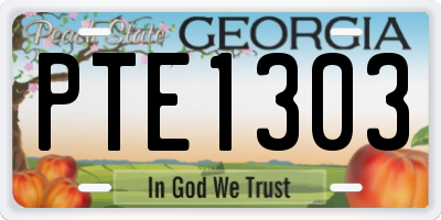 GA license plate PTE1303