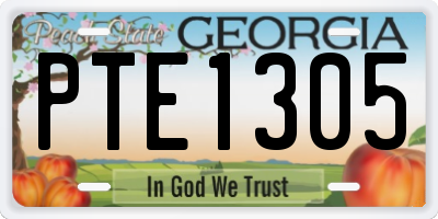GA license plate PTE1305