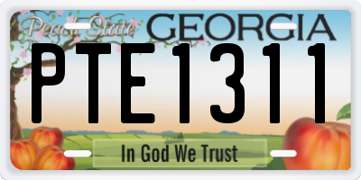 GA license plate PTE1311