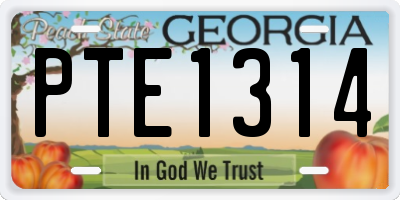 GA license plate PTE1314