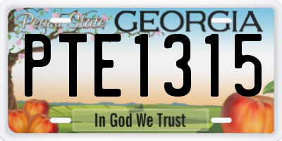 GA license plate PTE1315