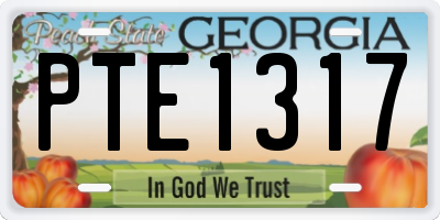 GA license plate PTE1317