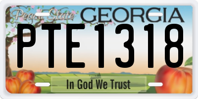 GA license plate PTE1318