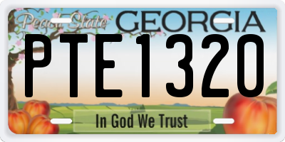 GA license plate PTE1320