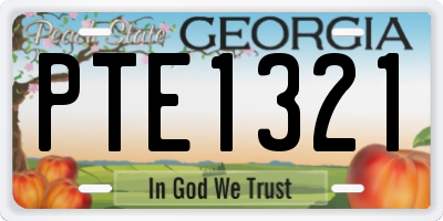 GA license plate PTE1321