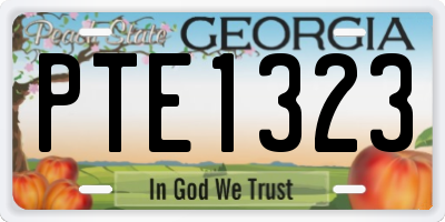 GA license plate PTE1323
