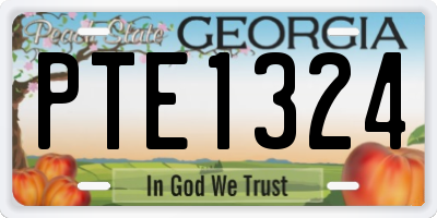 GA license plate PTE1324