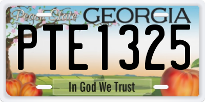 GA license plate PTE1325
