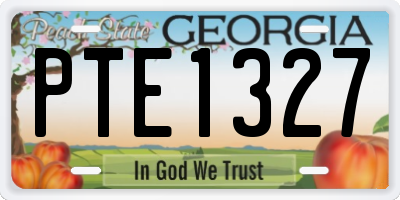 GA license plate PTE1327