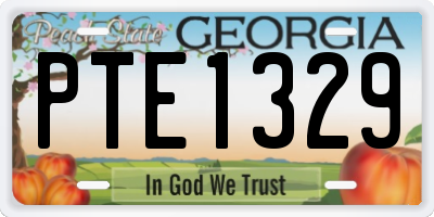 GA license plate PTE1329