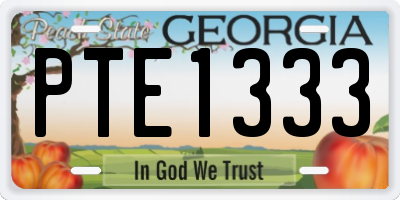 GA license plate PTE1333