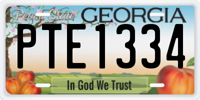 GA license plate PTE1334