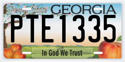 GA license plate PTE1335