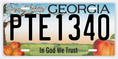 GA license plate PTE1340