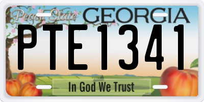 GA license plate PTE1341