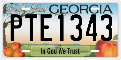 GA license plate PTE1343