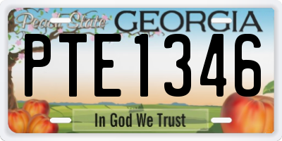 GA license plate PTE1346
