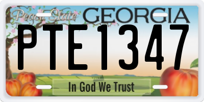 GA license plate PTE1347