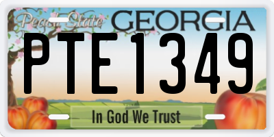 GA license plate PTE1349