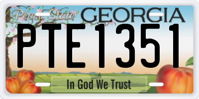 GA license plate PTE1351
