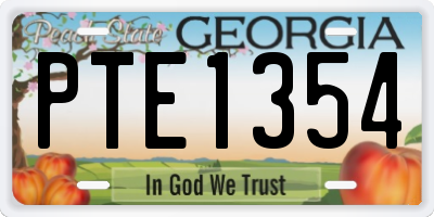 GA license plate PTE1354