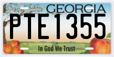 GA license plate PTE1355