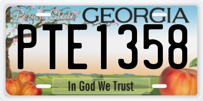 GA license plate PTE1358