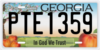 GA license plate PTE1359