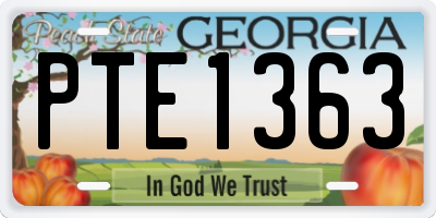 GA license plate PTE1363
