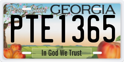 GA license plate PTE1365