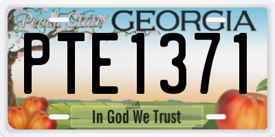 GA license plate PTE1371