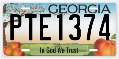 GA license plate PTE1374