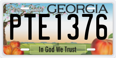 GA license plate PTE1376