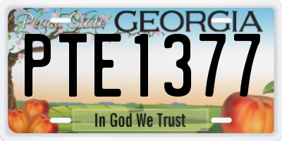 GA license plate PTE1377