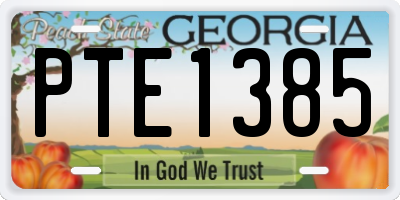 GA license plate PTE1385