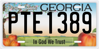 GA license plate PTE1389