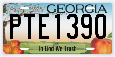 GA license plate PTE1390