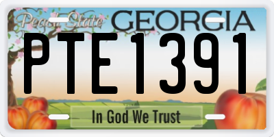 GA license plate PTE1391