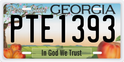 GA license plate PTE1393