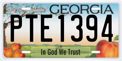 GA license plate PTE1394